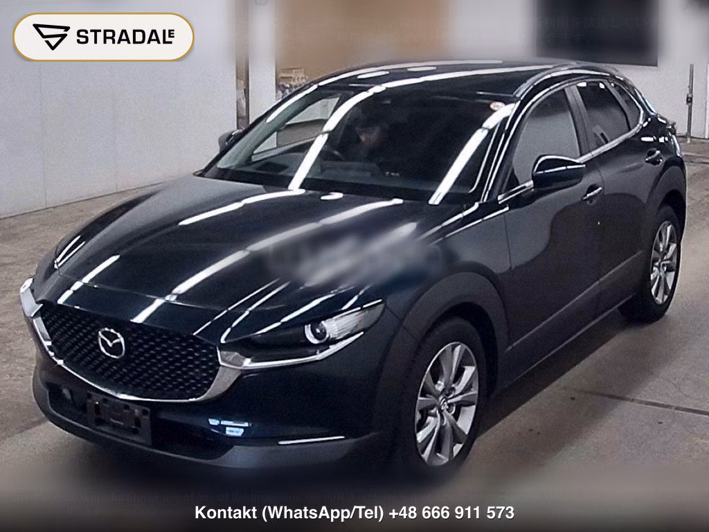 MAZDA CX-30 4WD 20S, miniaturka 5