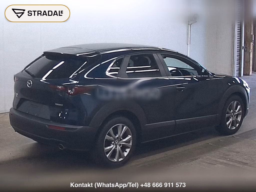 MAZDA CX-30 4WD 20S, miniaturka 6