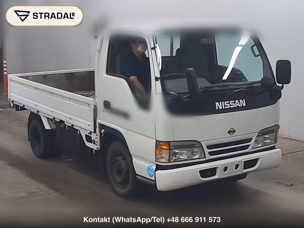 NISSAN ATLAS TRUCK 2D BASE GRADE 1996, aukcja z Japonii, zdjęcie 1