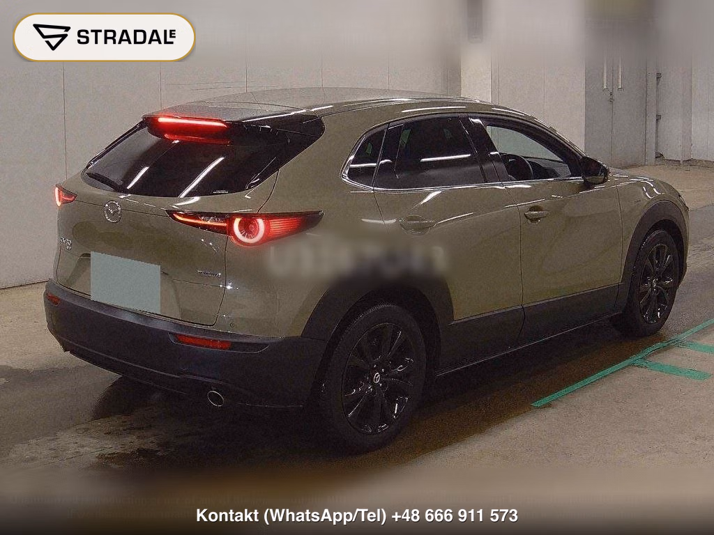 MAZDA CX-30 4WD XD RETRO SPORTS EDITION, miniaturka 6