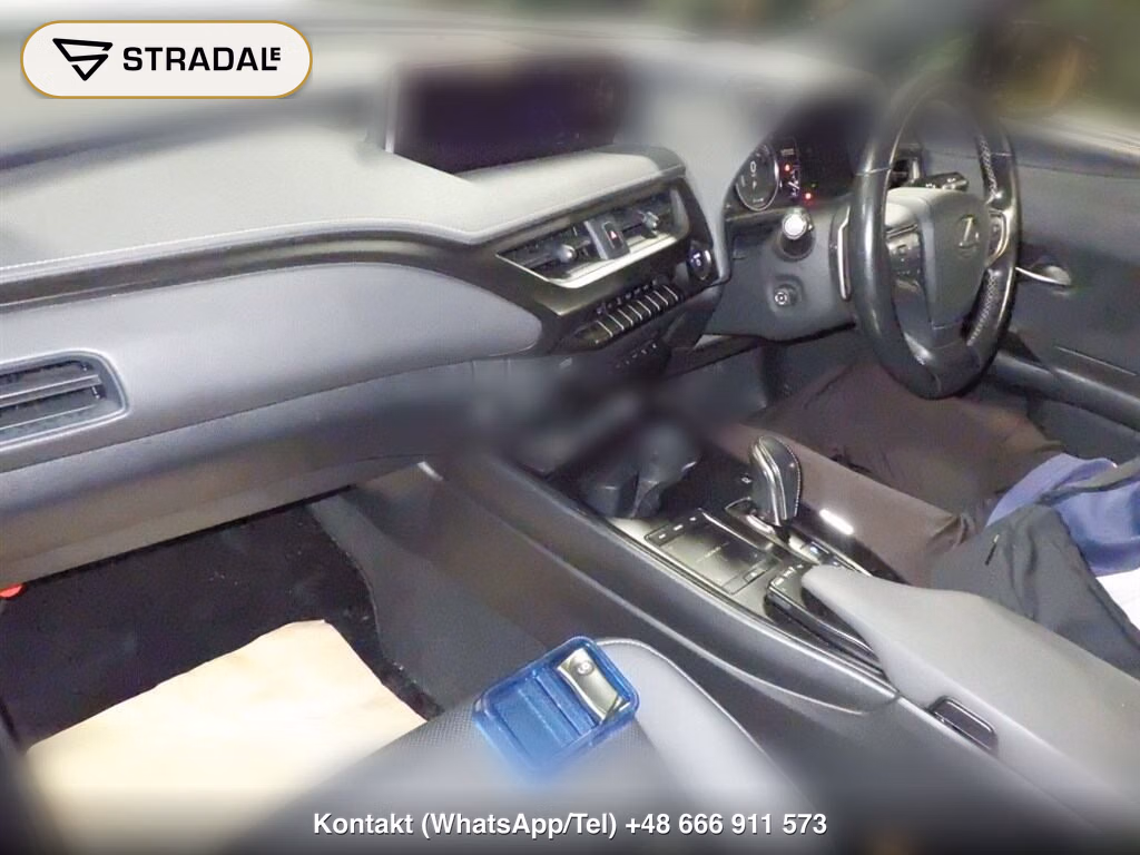 LEXUS UX300E UX300E VERSION C, miniaturka 4