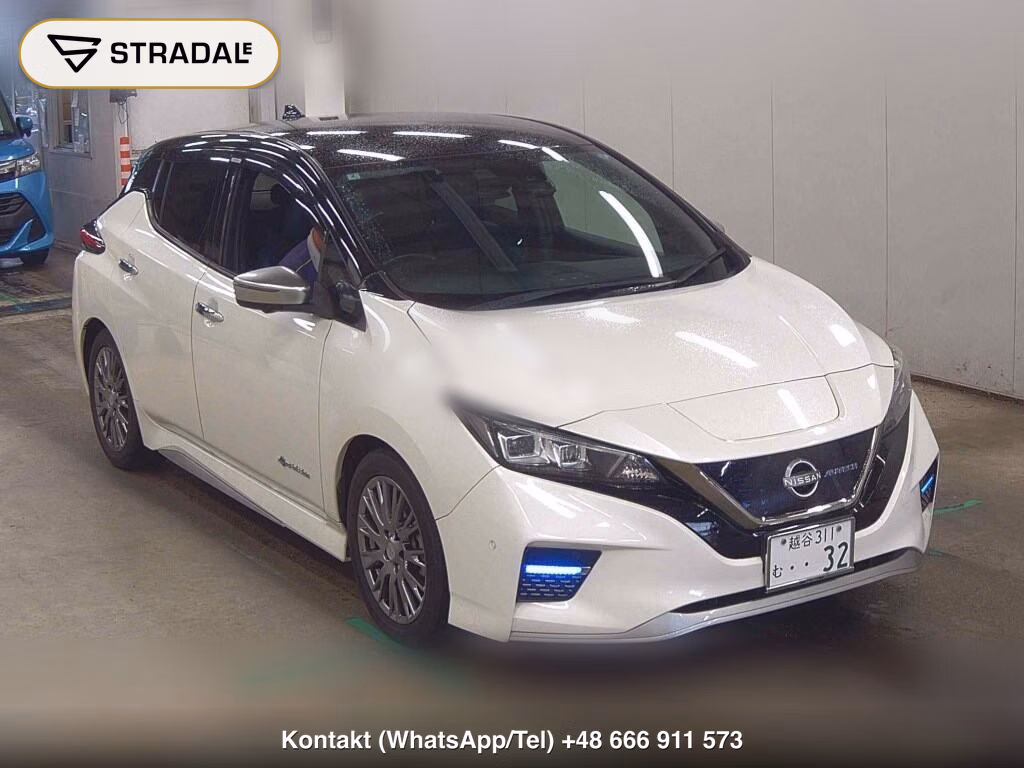 NISSAN LEAF AUTECH 2020, aukcja z Japonii, zdjęcie 1