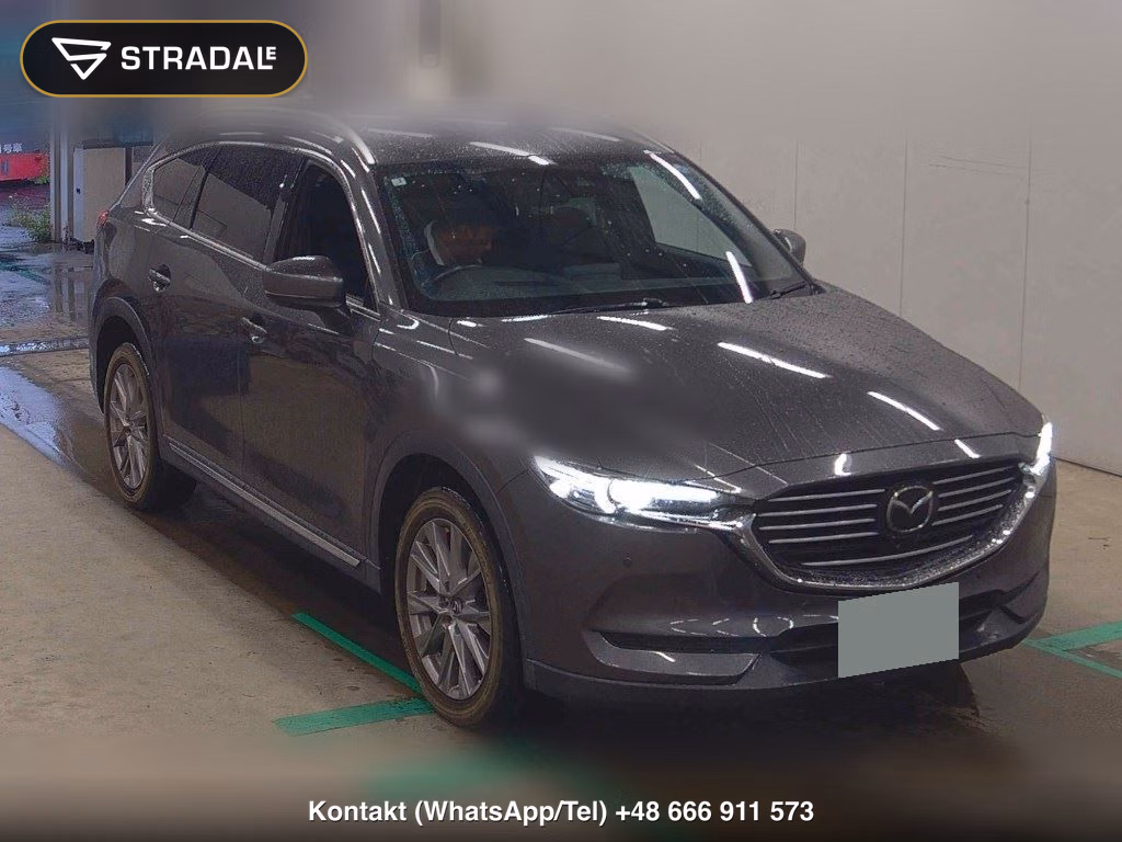 MAZDA CX-8 25S PROACTIVE 2019, aukcja z Japonii, zdjęcie 1