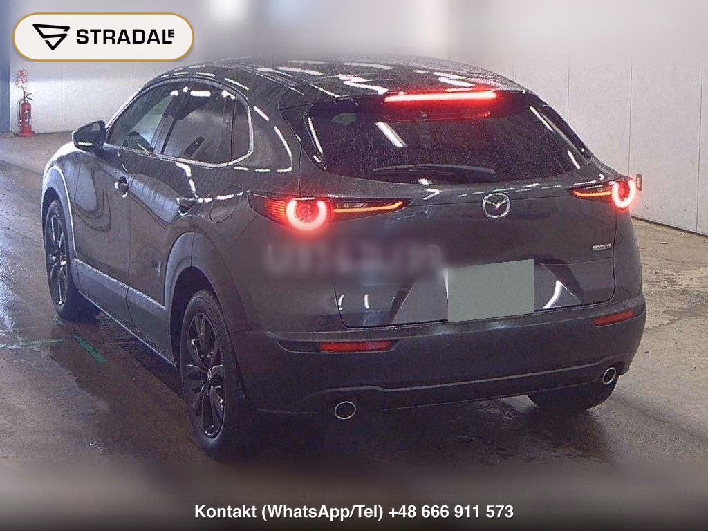 MAZDA CX-30 20S RETRO SPORTS EDITION, miniaturka 3