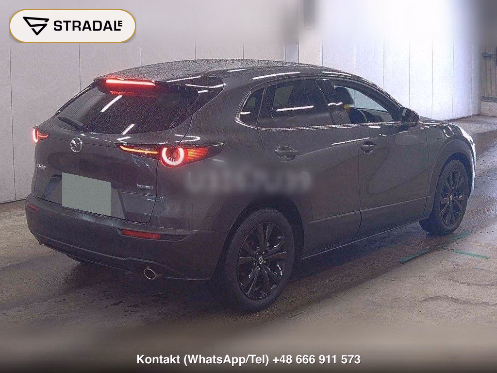MAZDA CX-30 20S RETRO SPORTS EDITION, miniaturka 6