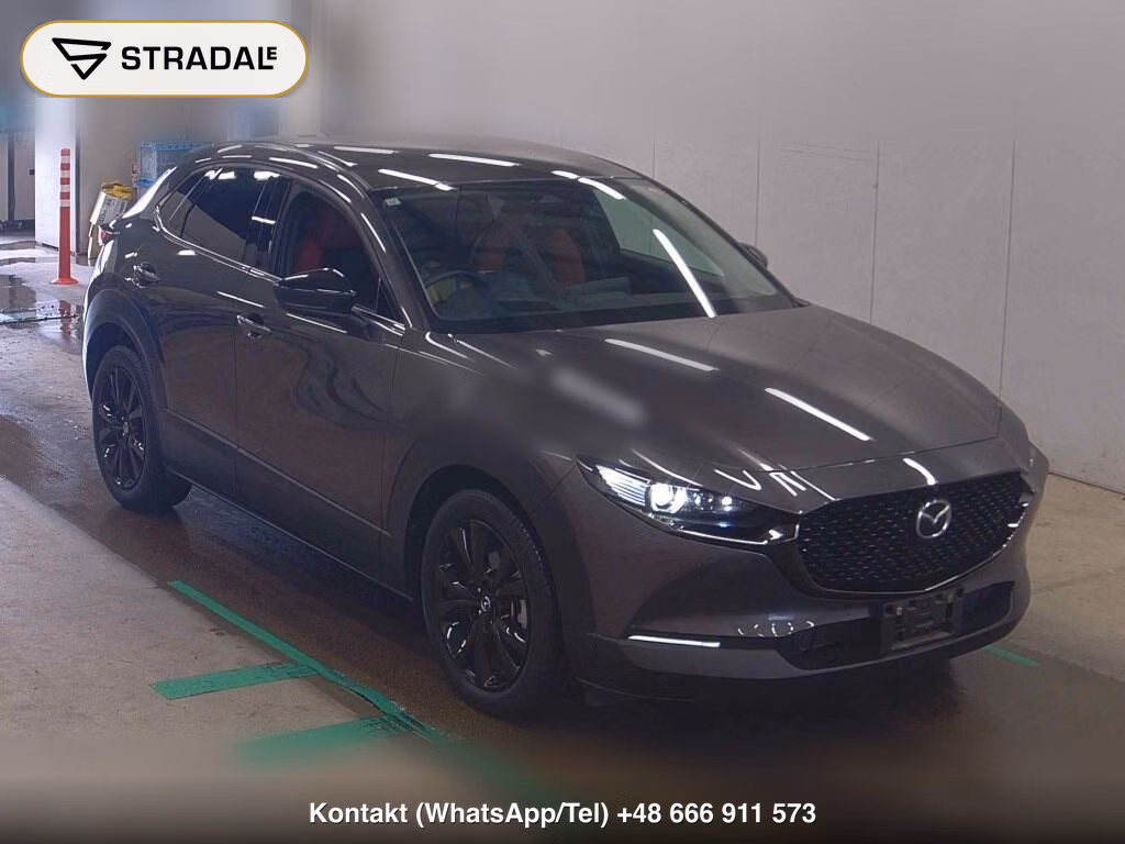 MAZDA CX-30 4WD 20S RETRO SPORTS EDITION 2023, aukcja z Japonii, zdjęcie 1