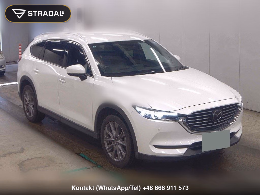 MAZDA CX-8 25S PROACTIVE 2019, aukcja z Japonii, zdjęcie 1