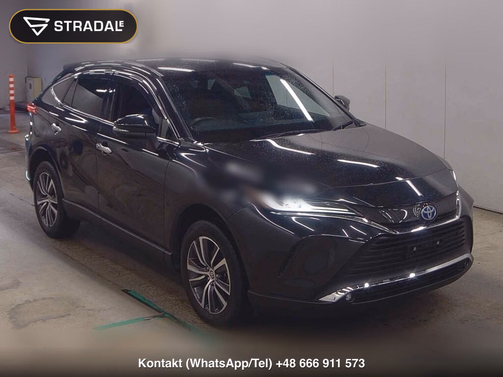 TOYOTA HARRIER HYBRID G 1993, aukcja z Japonii, zdjęcie 1