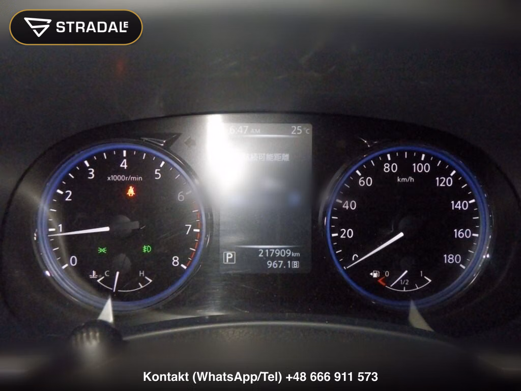 NISSAN ELGRAND 5D 250 HIGHWAY STAR, miniaturka 7