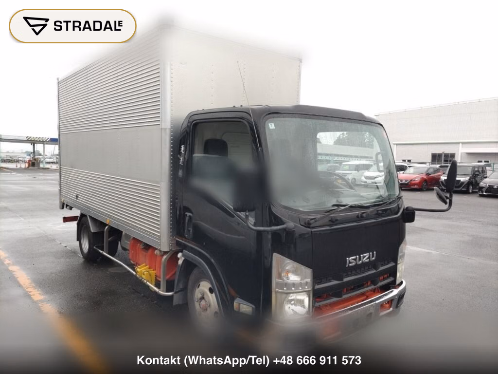 ISUZU ELF TRUCK 2D PANEL VAN 2008, aukcja z Japonii, zdjęcie 1