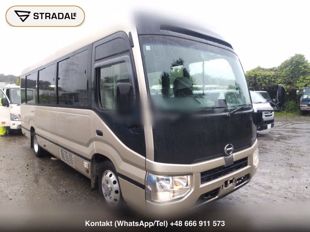 HINO LIESSE Ⅱ 2D 2019, aukcja z Japonii, zdjęcie 1