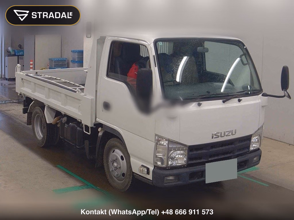 ISUZU ELF TRUCK 2D OTHERS 2010, aukcja z Japonii, zdjęcie 1