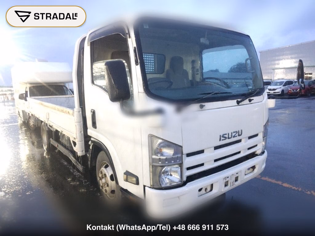 ISUZU ELF TRUCK 2D 2007, aukcja z Japonii, zdjęcie 1