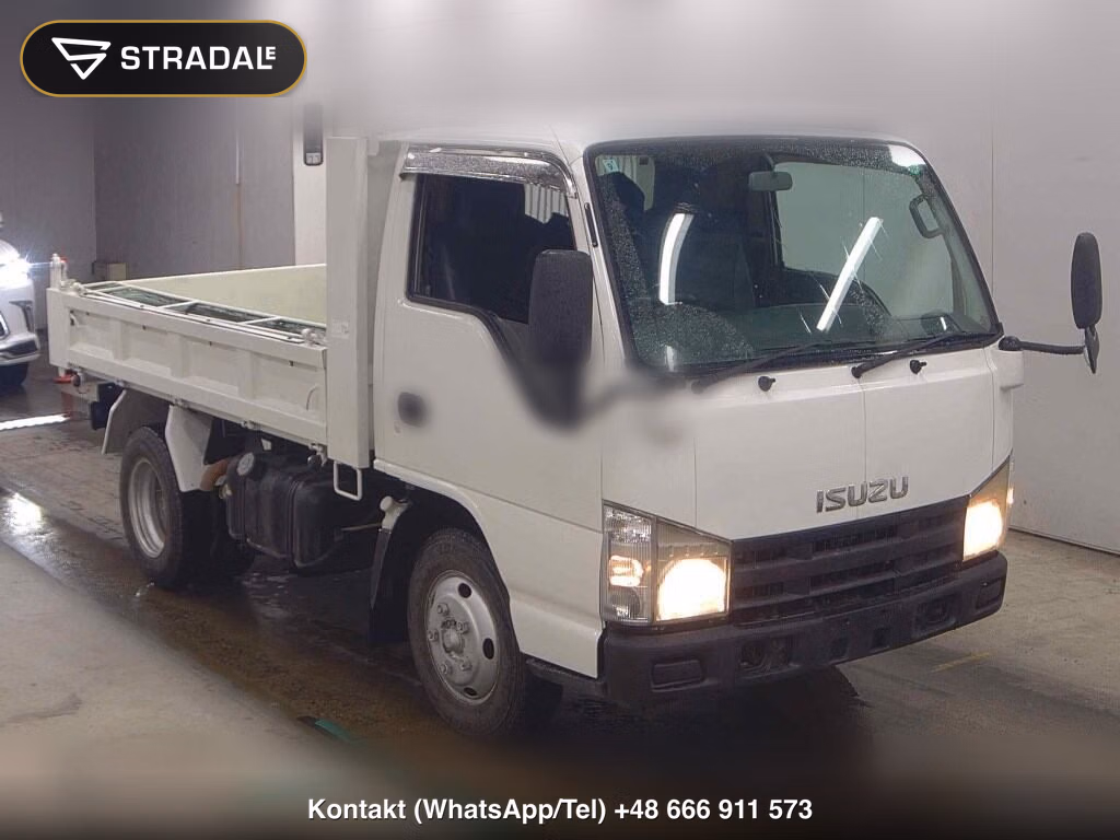 ISUZU ELF TRUCK 2D OTHERS 2008, aukcja z Japonii, zdjęcie 1