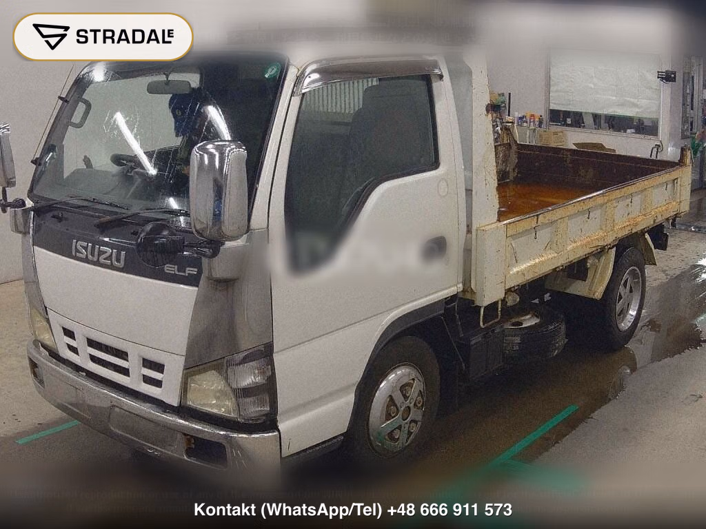 ISUZU ELF TRUCK DUMP, miniaturka 5
