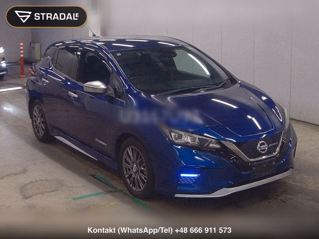 NISSAN LEAF AUTECH, miniaturka 2