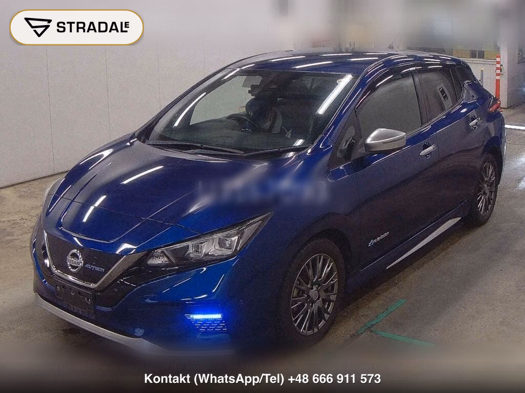 NISSAN LEAF AUTECH, miniaturka 5