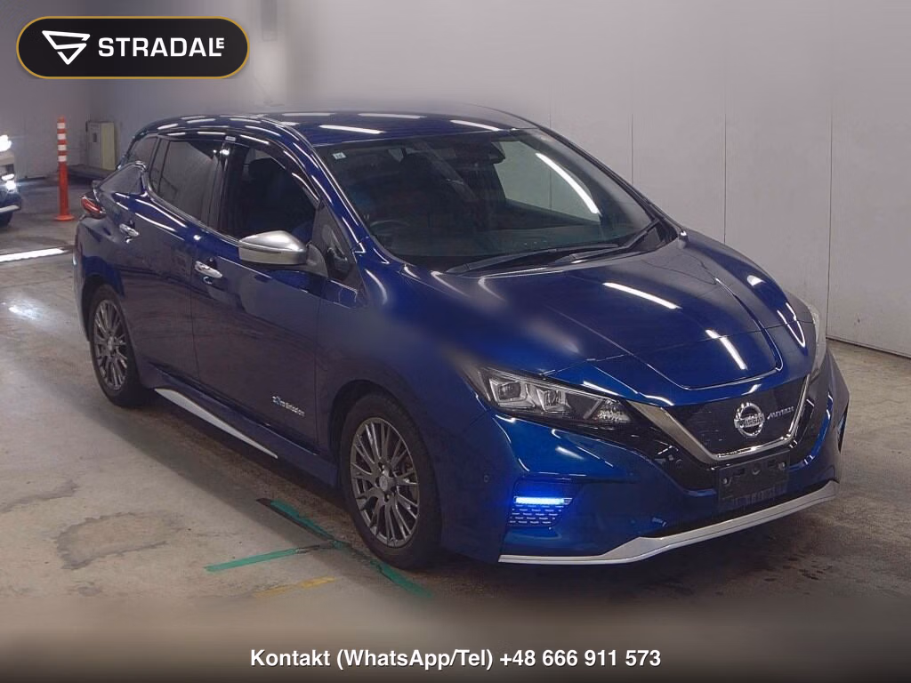 NISSAN LEAF AUTECH 2019, aukcja z Japonii, zdjęcie 1