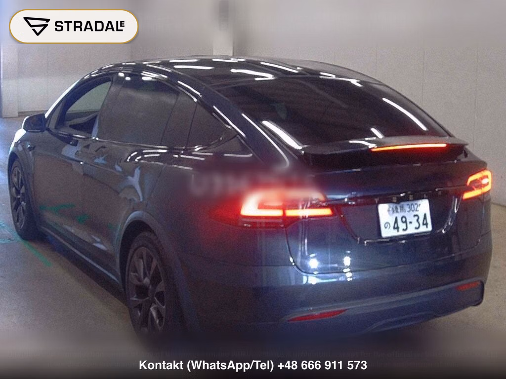 TESLA MODEL X 4WD OTHERS, miniaturka 3