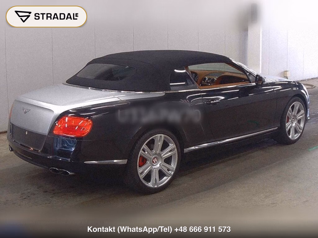 BENTLEY CONTINENTAL OP 4WD OTHERS, miniaturka 6