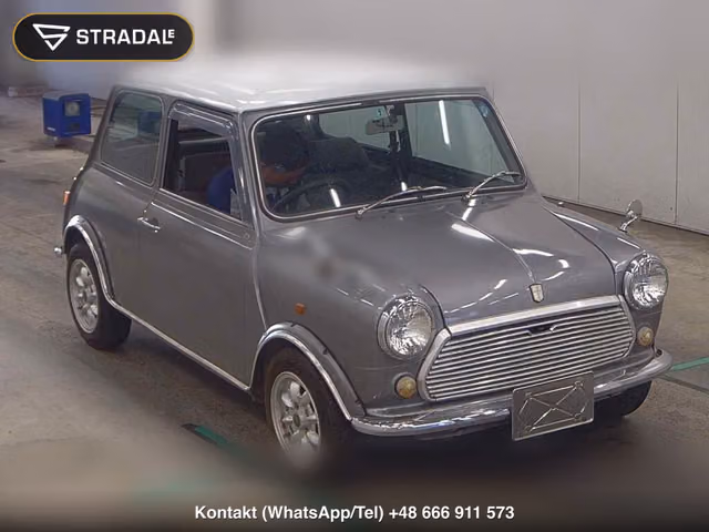 ROVER MINI 2D 1991, samochód z aukcji Japonii