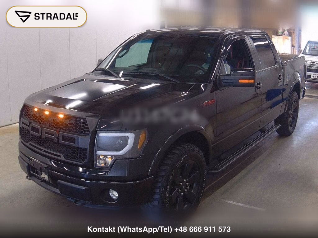 FORD F-150 4D 4WD, miniaturka 5