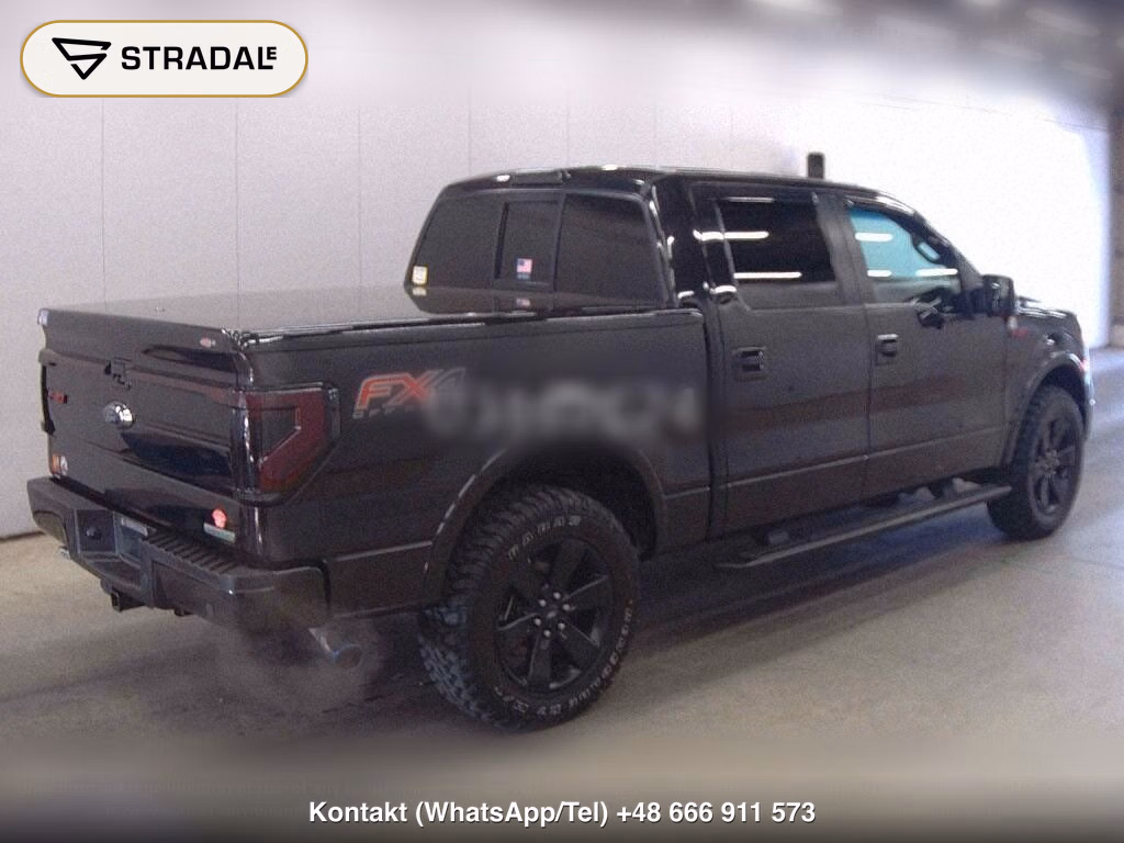 FORD F-150 4D 4WD, miniaturka 6