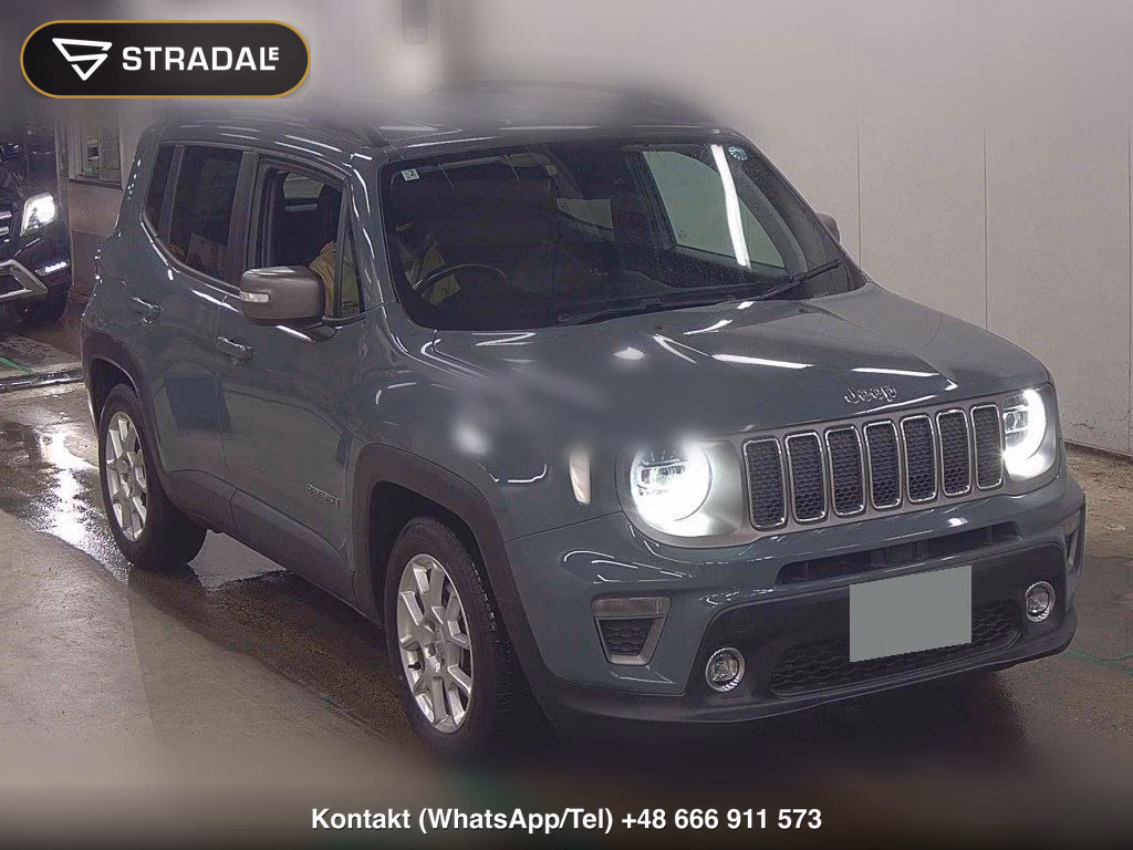 CHRYSLER JEEP JEEP RENEGADE LIMITED 2019, aukcja z Japonii, zdjęcie 1
