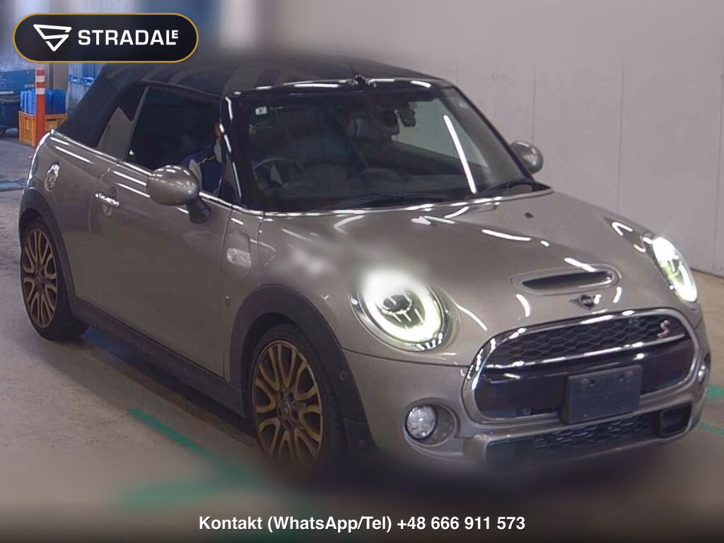 MINI MINI OP OTHERS 2019, aukcja z Japonii, zdjęcie 1