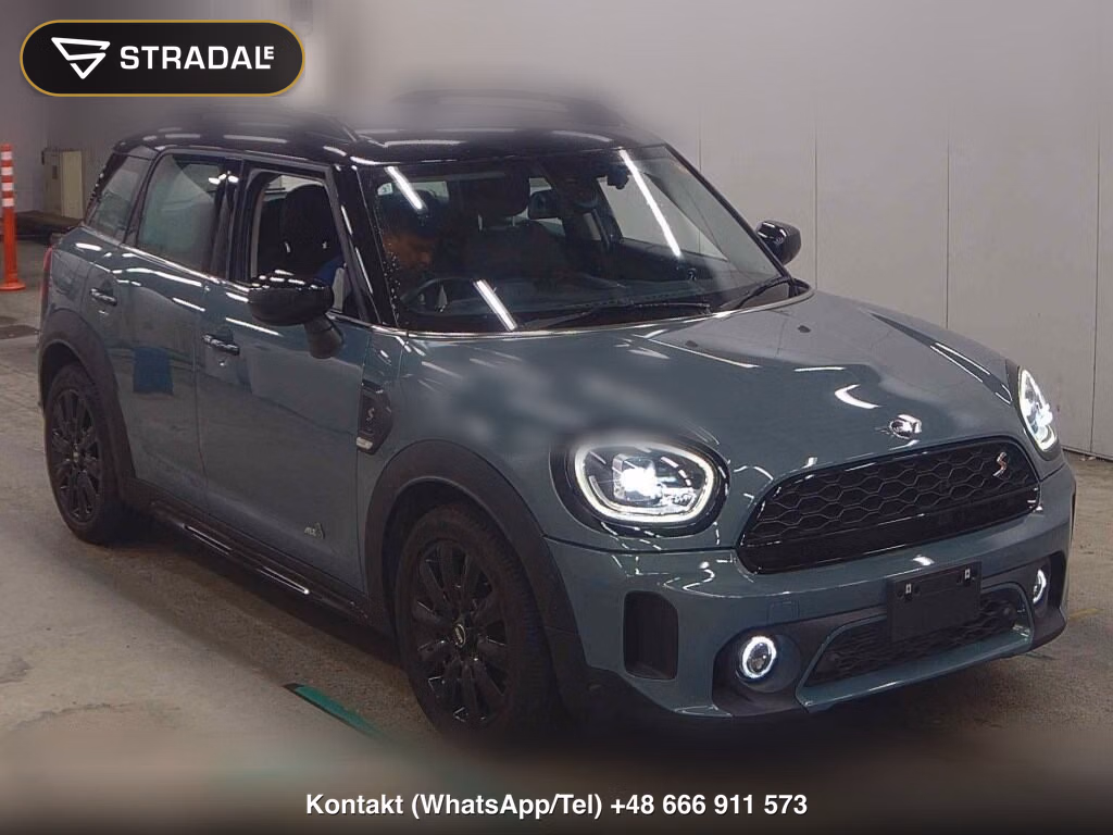 MINI MINI 5D 4WD OTHERS 2021, aukcja z Japonii, zdjęcie 1