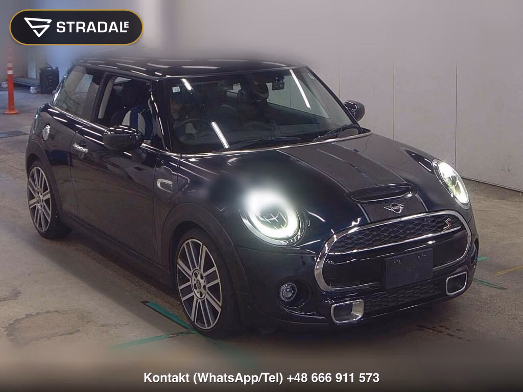 MINI MINI 3D OTHERS 2020, aukcja z Japonii, zdjęcie 1