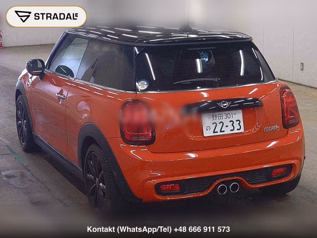 MINI MINI 3D COOPER S, miniaturka 3
