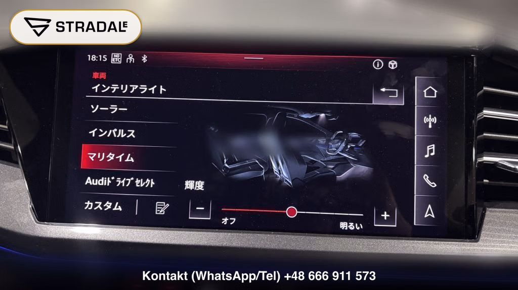AUDI Q4 E-TRON 40 S LINE, miniaturka 8