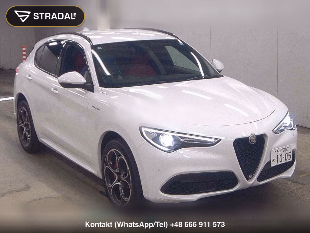 ALFA ROMEO STELVIO 4WD 2.0 TURBO Q4 VELOCE, miniaturka 2