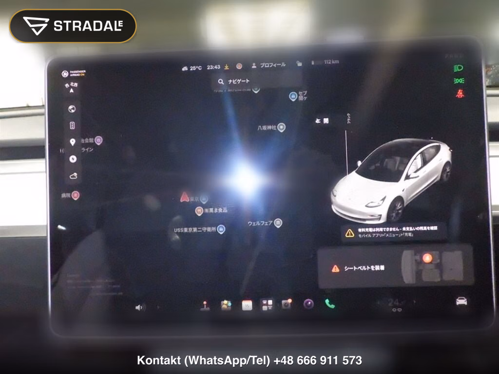 TESLA MODEL 3 4WD LONG RANGE, miniaturka 7