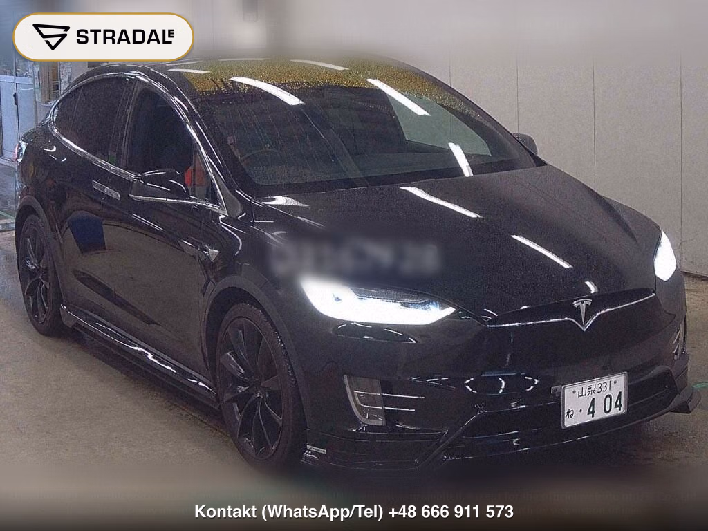 TESLA MODEL X 4WD 100D, miniaturka 2