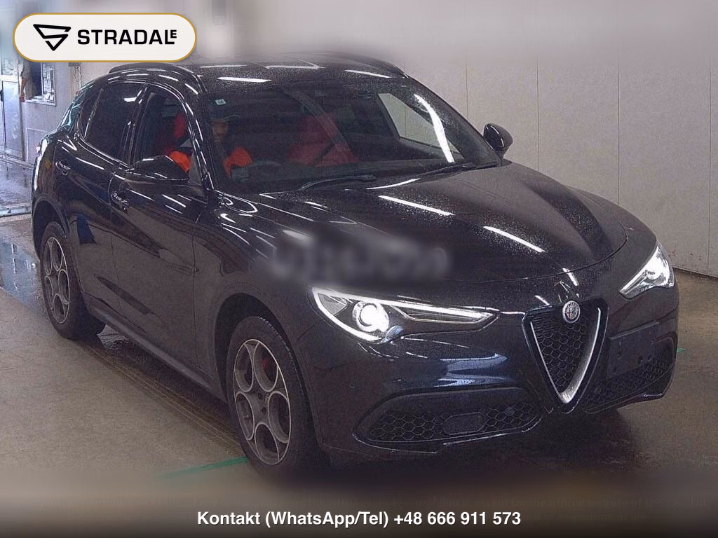 ALFA ROMEO STELVIO 4WD 2.0 TURBO Q4 SPORT PACKAGE, miniaturka 2