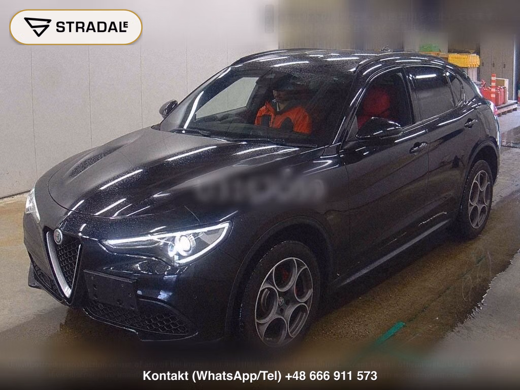ALFA ROMEO STELVIO 4WD 2.0 TURBO Q4 SPORT PACKAGE, miniaturka 5