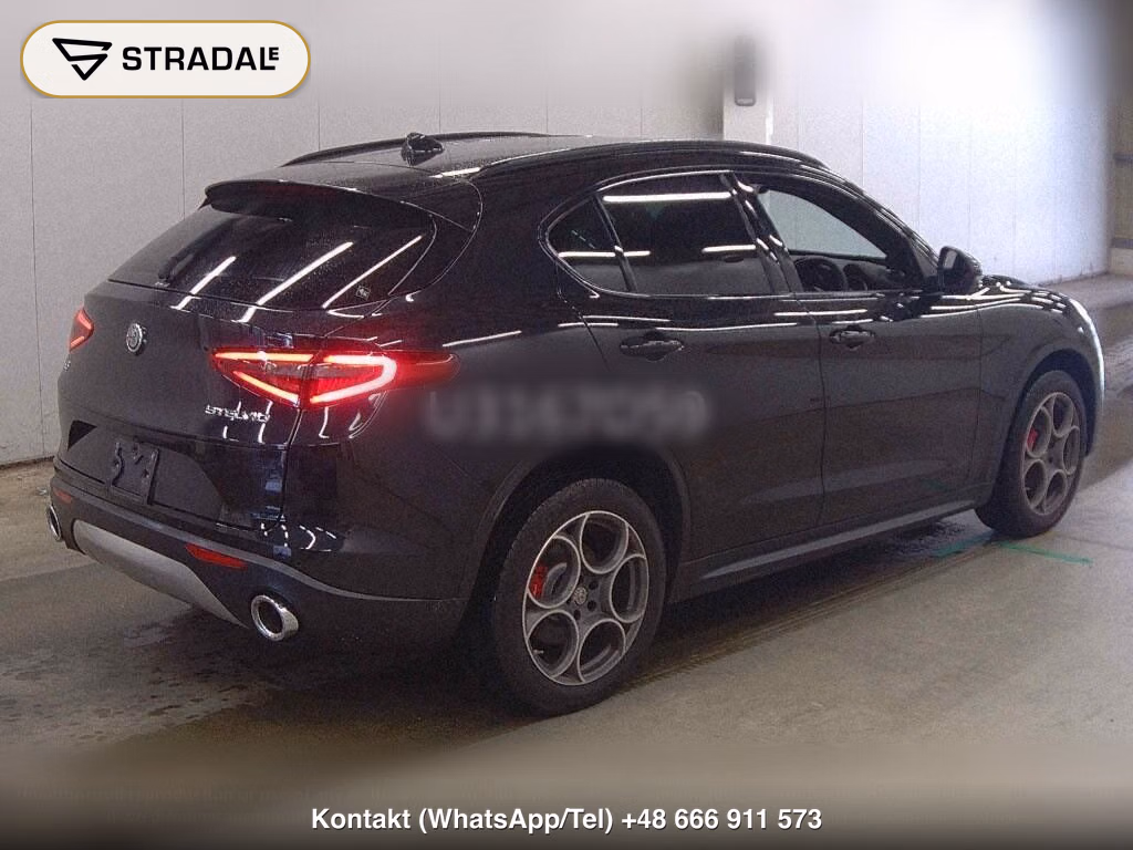 ALFA ROMEO STELVIO 4WD 2.0 TURBO Q4 SPORT PACKAGE, miniaturka 6