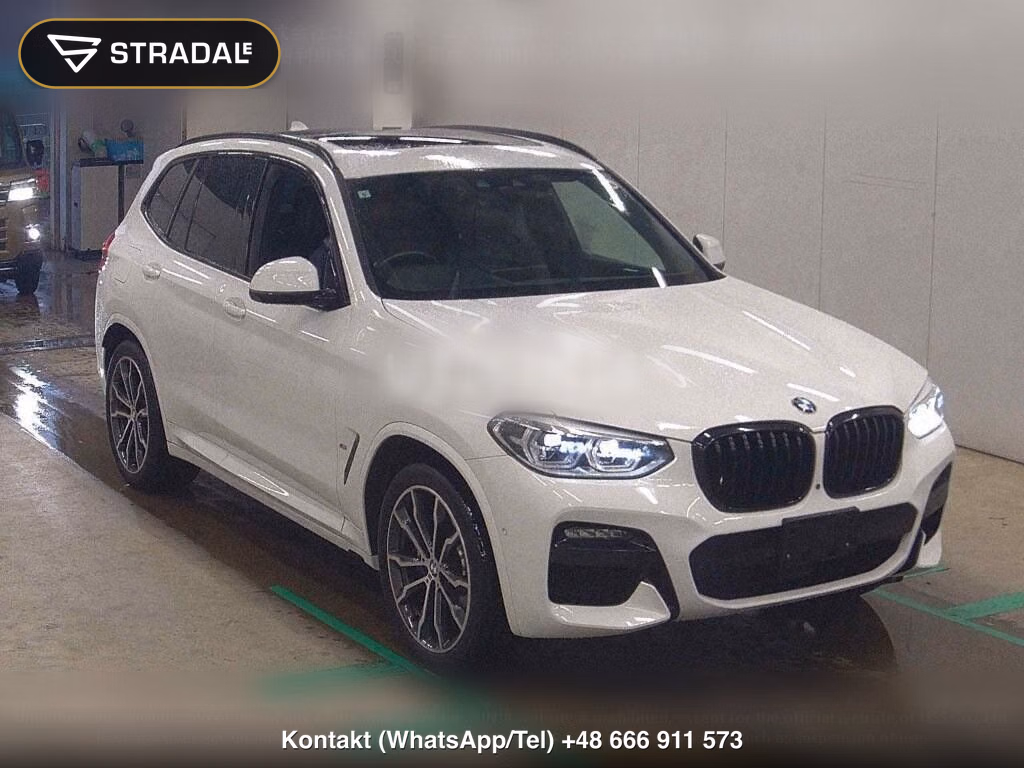 BMW X3 4WD XDRIVE 30E M-SPORT EDITION JOY+, miniaturka 2