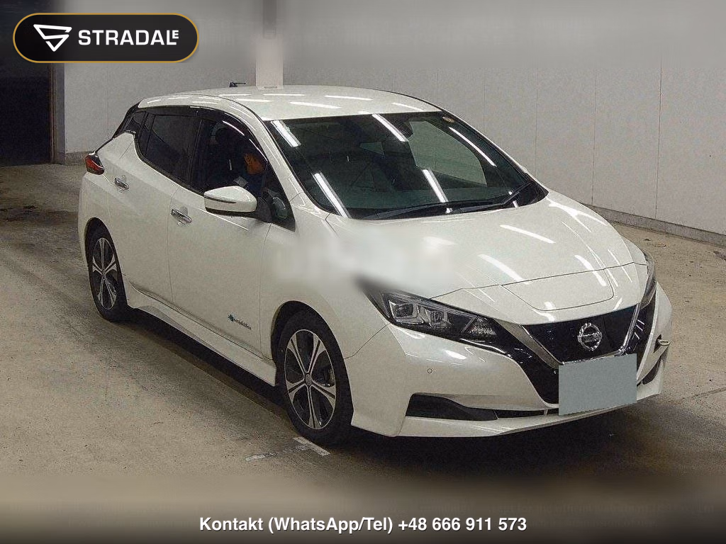 NISSAN LEAF X 10 THOUSAND UNITS MEMORIAL CAR, miniaturka 2