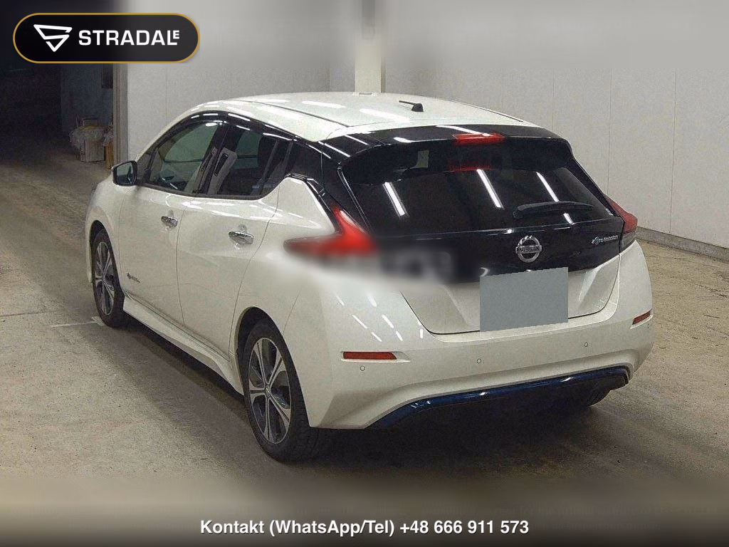 NISSAN LEAF X 10 THOUSAND UNITS MEMORIAL CAR, miniaturka 3