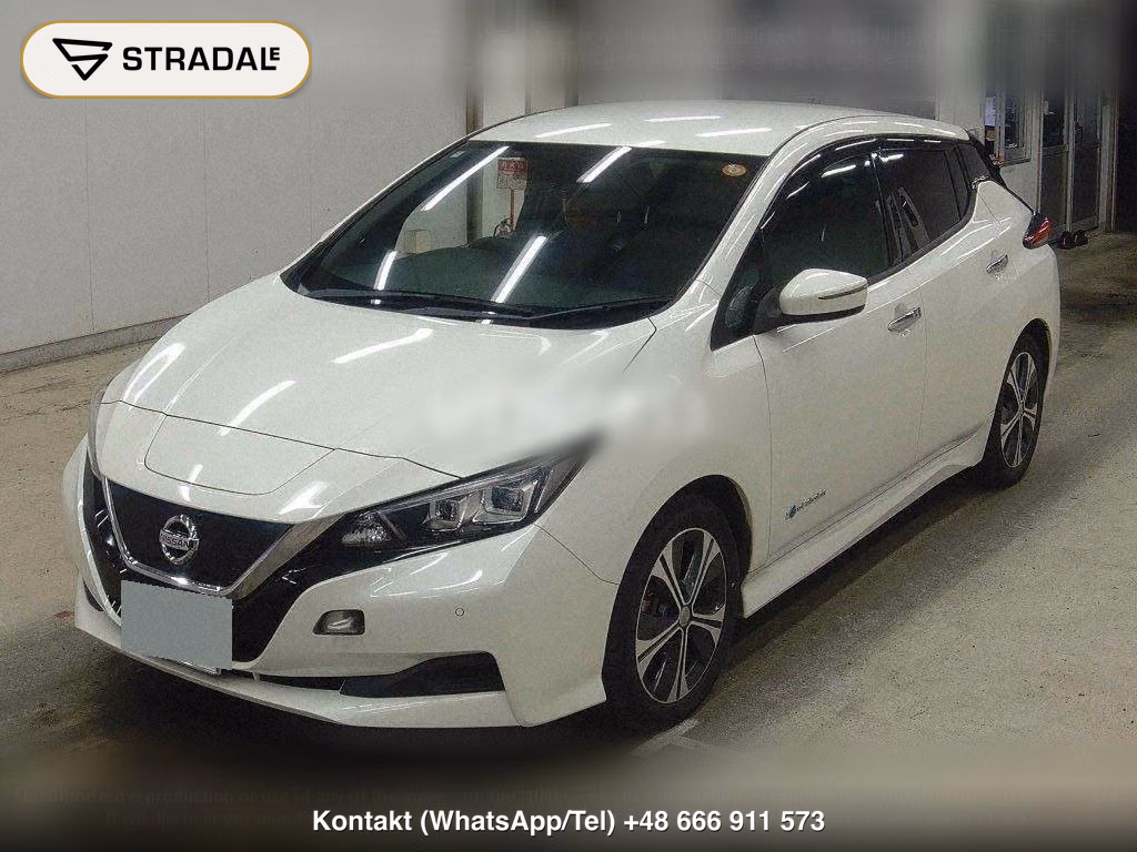 NISSAN LEAF X 10 THOUSAND UNITS MEMORIAL CAR, miniaturka 5