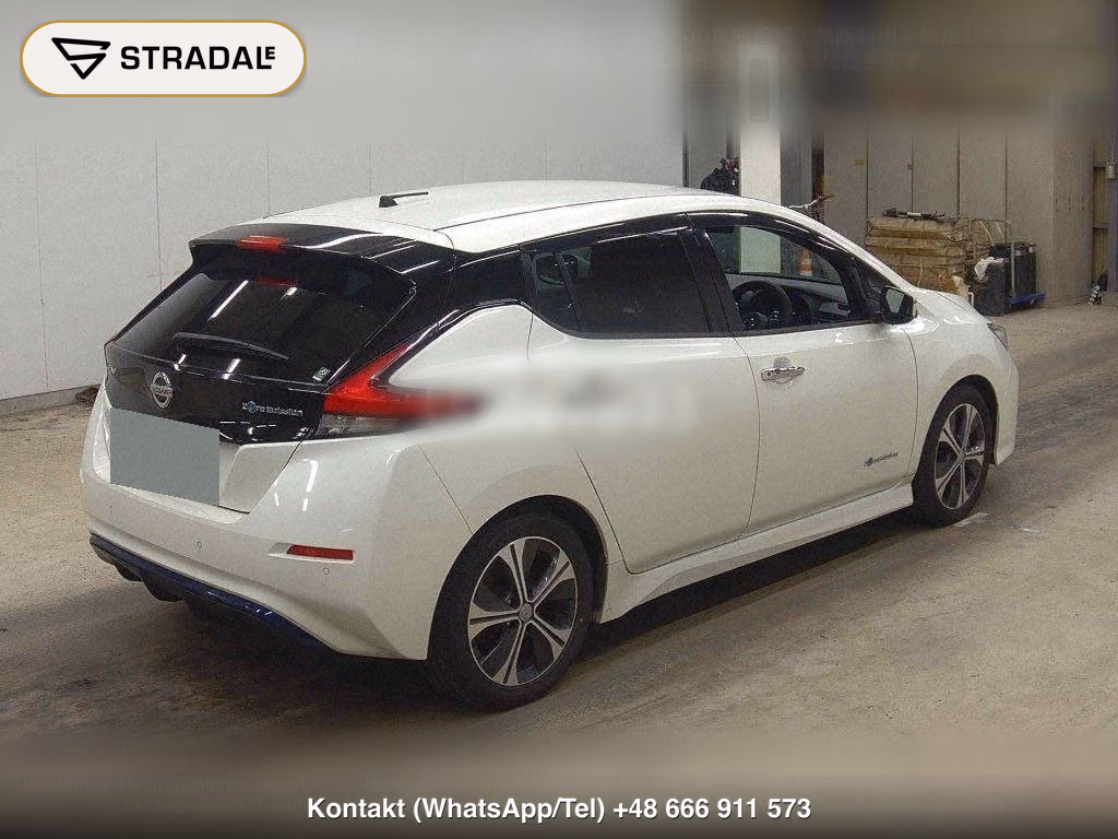 NISSAN LEAF X 10 THOUSAND UNITS MEMORIAL CAR, miniaturka 6