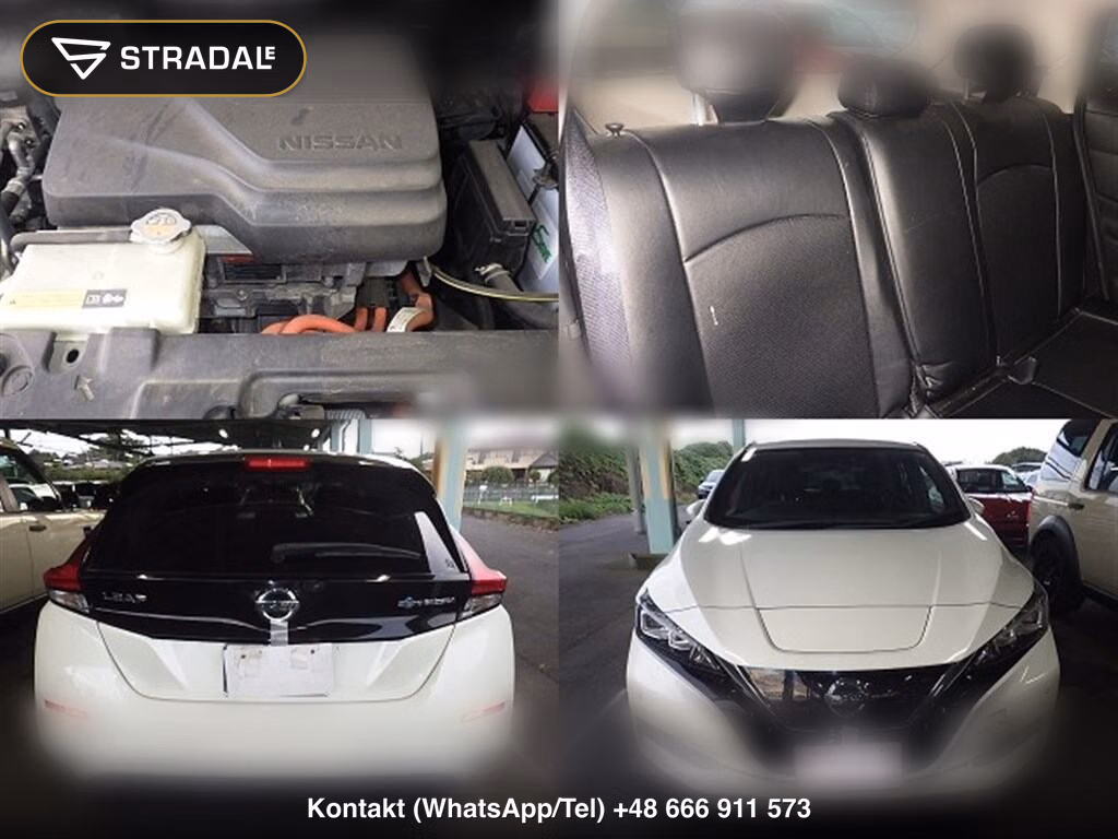 NISSAN LEAF X 10 THOUSAND UNITS MEMORIAL CAR, miniaturka 7