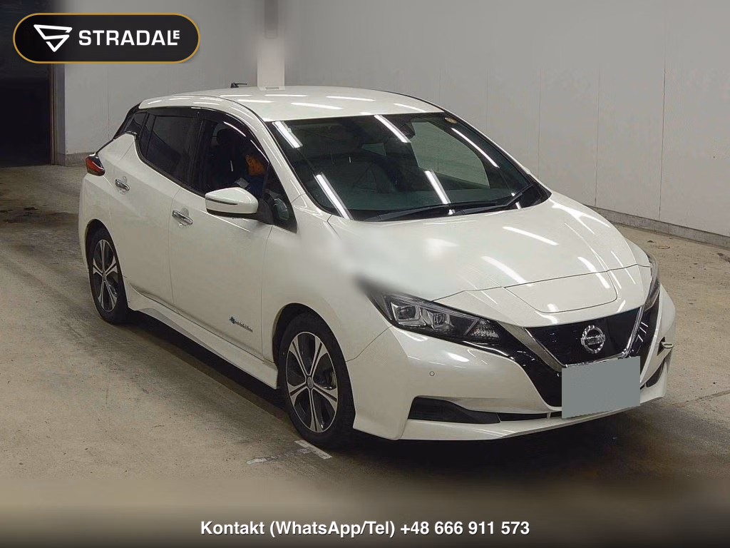 NISSAN LEAF X 10 THOUSAND UNITS MEMORIAL CAR 2018, aukcja z Japonii, zdjęcie 1