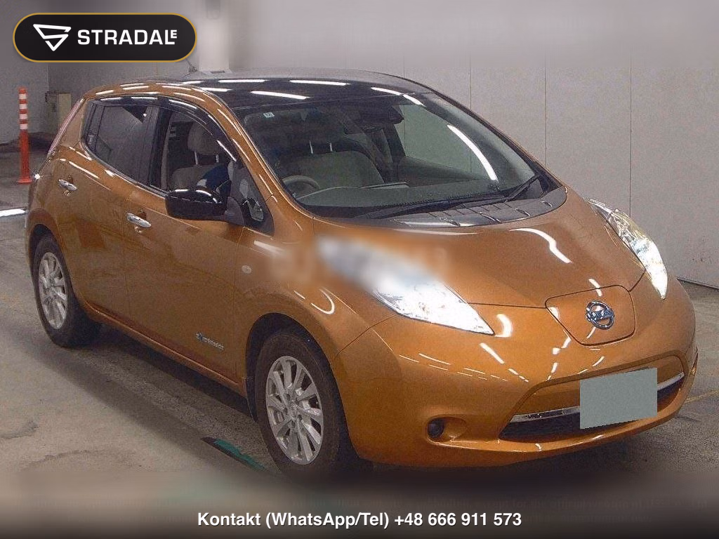 NISSAN LEAF X THANKS EDITION(30KWH), miniaturka 2