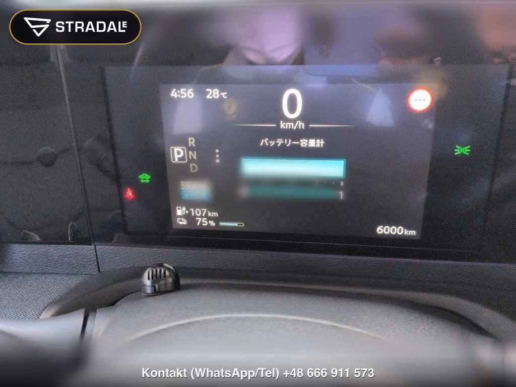 NISSAN SAKURA X, miniaturka 7