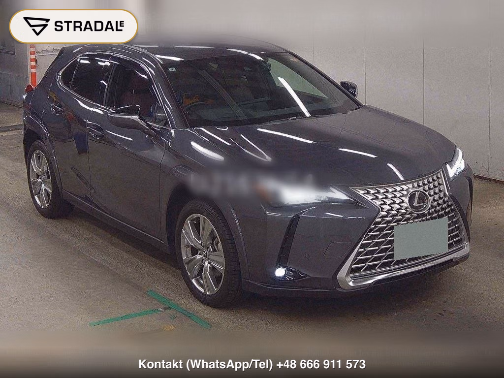 LEXUS UX 4WD UX250H GRACEFUL EXPLORER, miniaturka 2