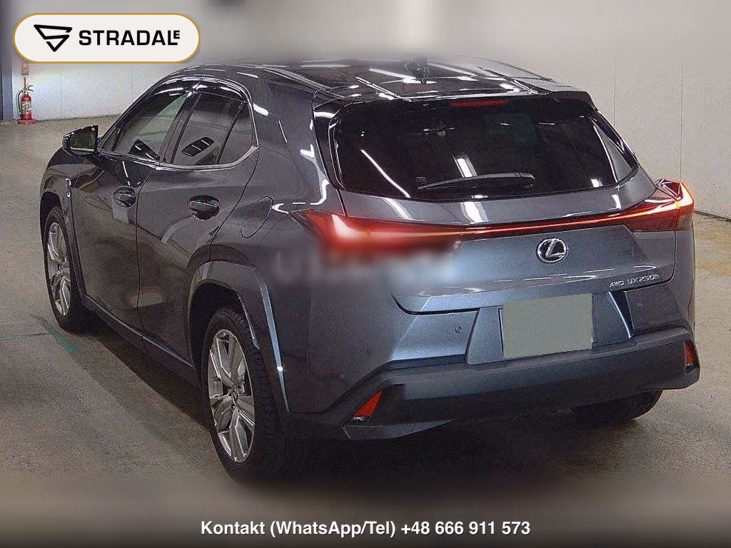 LEXUS UX 4WD UX250H GRACEFUL EXPLORER, miniaturka 3
